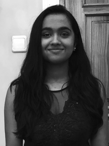Harsha Mini