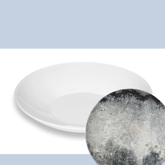 TEMPTASTE dyp tallerken Ø:240mm WALL