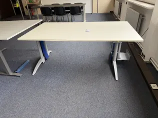 Ergo Pro Desk