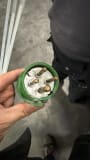 Starmix Lot of Vacuum Cleaners - Image 15