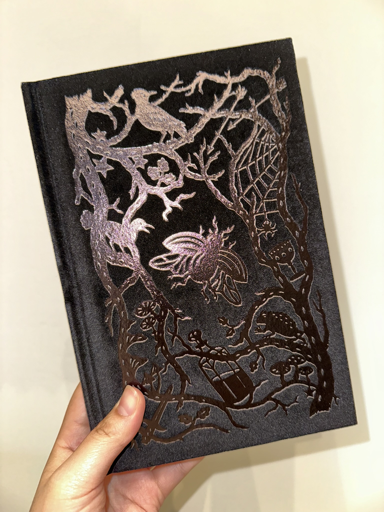the cruel prince book