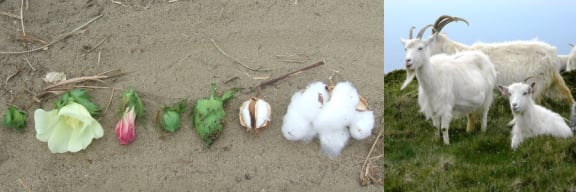 nachhaltige-rohstoffe