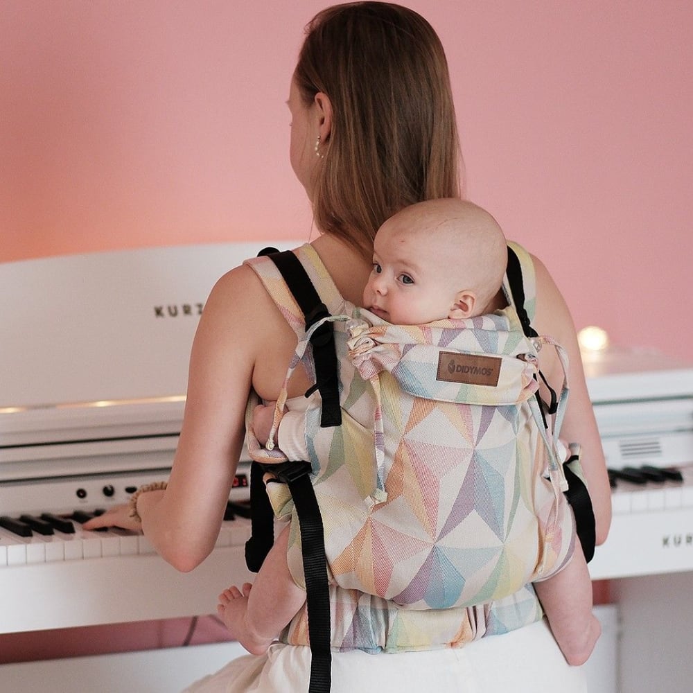 DidyFix Baby Carrier