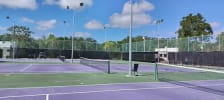 World tennis photo