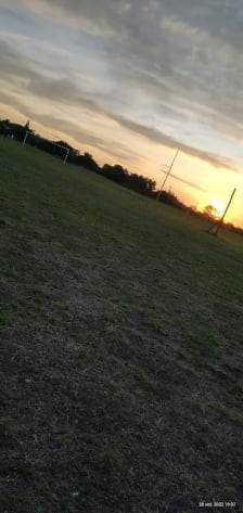 Tenis Del Sol photo
