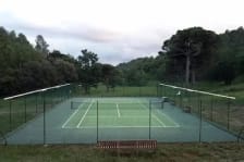 Tweener photo