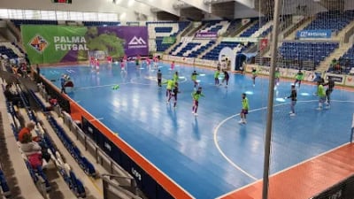Palacio Municipal de Deportes Son Moix - IME photo