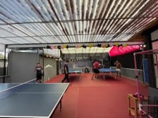 Tigre Ping Pong photo