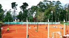 Match Point Tennis Club photo