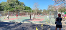 Tennis Club photo