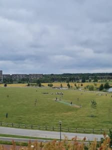 Cricketveld in Parkmeerland photo