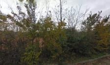 Tennisclub Sint-Annaland – photo 1