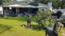 Sport & Health Club de Schaapskooi photo