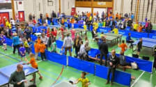 Tafeltennisvereniging Pijnacker photo