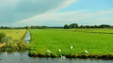 Tennis Vereniging Baambrugge photo