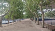 Escuelas de Gimnasia photo