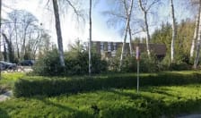 Padel Apeldoorn photo