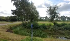 Tennisvereniging De Trije Setter photo