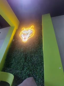 Tigerpadel Lanus photo