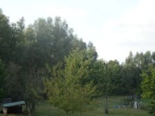 Tennispark Appal photo