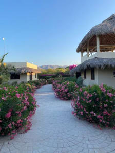 Casa Sunshine photo