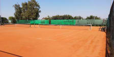TCDHO photo