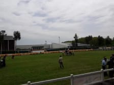 Centro Deportivo Sociocultural Militar 'Hípica de Logroño' photo
