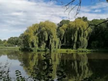 Van Tuyllpark photo