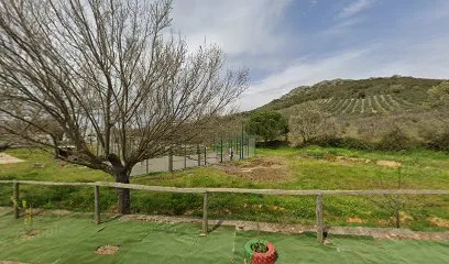 Pista de Pádel photo