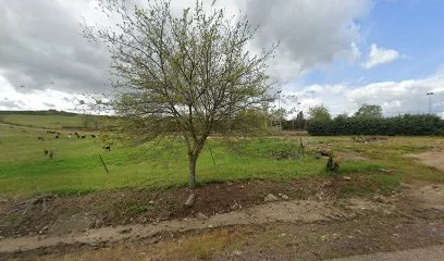 Pista Pádel photo