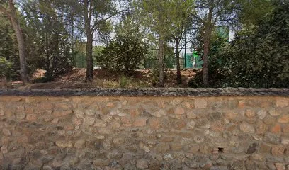 ESCUELA DE PÁDEL BORJA GUILLEM photo