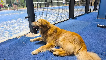 Club de Padel Puerto del Rosario photo