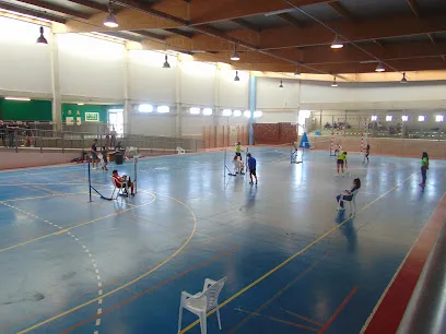 Escuela de Badminton Playa Honda photo