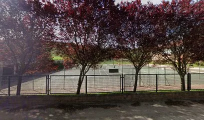 Pista pádel polideportivo photo