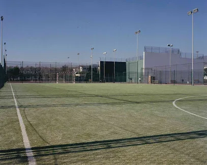 Parque Deportivo Sindical photo