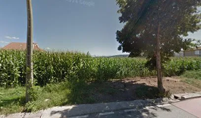 Pista pádel photo