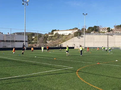 RMA Mallorca Football Academy photo