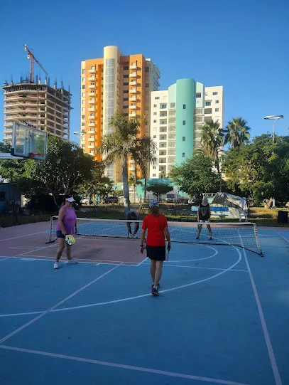 Vector Court - Cancha de Basketball y Pickleball photo