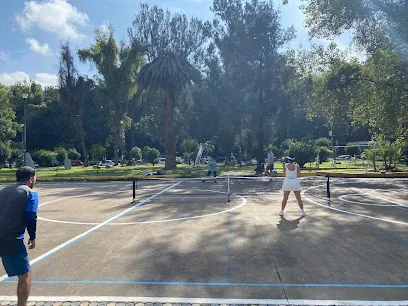Pickleball Pro Mexico - Pickleball in Mexico City photo