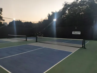 Pickleball Polanco photo