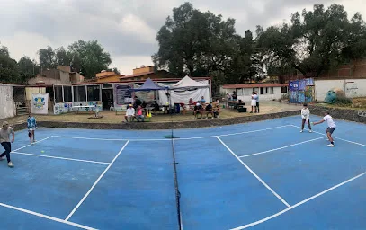 Pickleball Life Tepepan photo