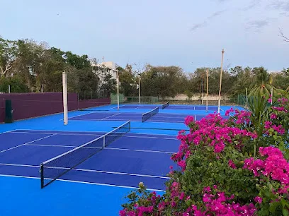 The Court Sports Club photo