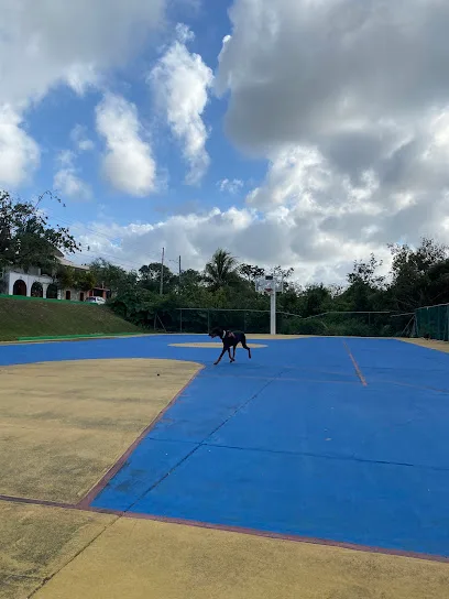 Parque Hundido photo