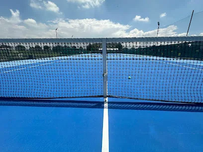 INDDE TENIS, BOX Y NUTRICION METEPEC photo