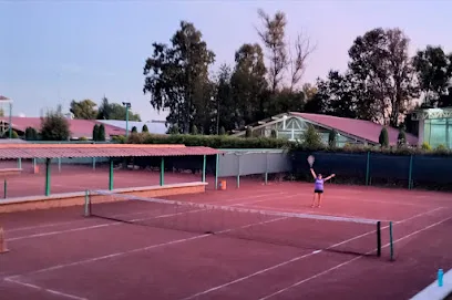 Ace Raquet Tennis Academy photo