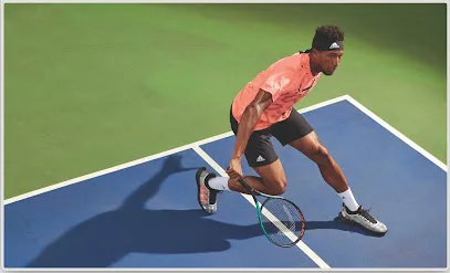 TENNIS DEPOT CAMPESTRE photo