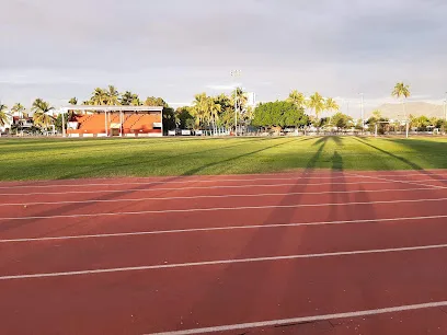 Unidad Deportiva "5 De Mayo" photo