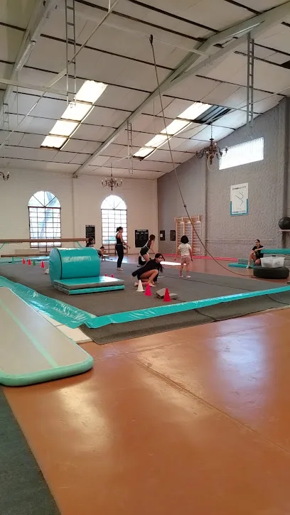 Balantzea Gimnasia & Parkour photo