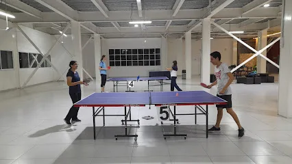 PINGPONG ENERGYM photo