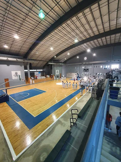 Unidad Deportiva Francisco de Montejo photo